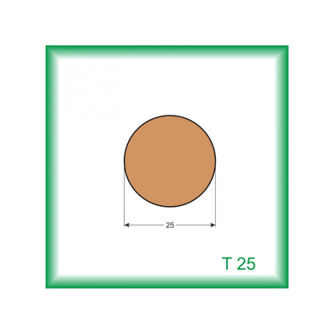 Tyč - T25 /na objednávku - min. odber 100 m